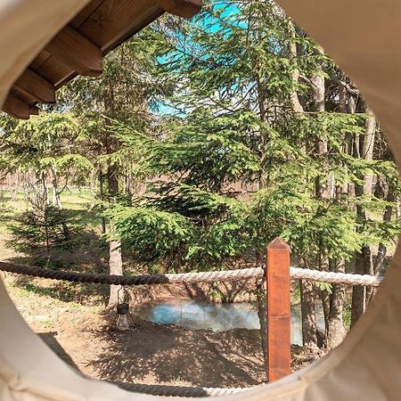 Medve Dome - Luxury Camping In The Middle Of Nature Hotel Vlahita Exterior photo