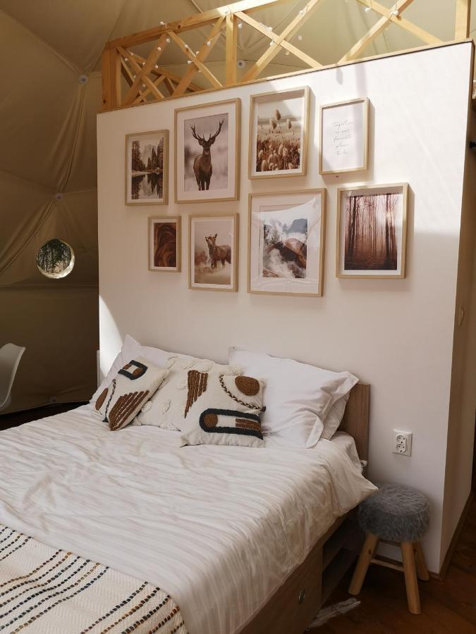 Medve Dome - Luxury Camping In The Middle Of Nature Hotel Vlahita Exterior photo