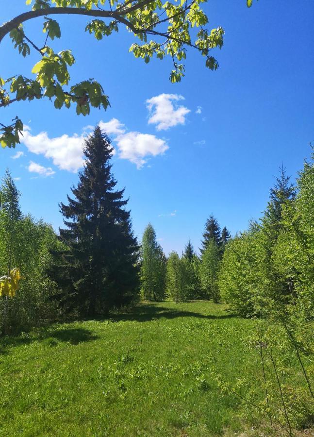 Medve Dome - Luxury Camping In The Middle Of Nature Hotel Vlahita Exterior photo